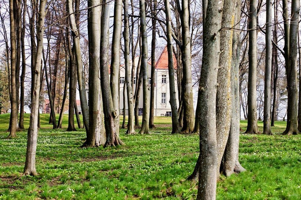 Zespol Palacowy Pacoltowo Na Wylacznosc Buitenkant foto